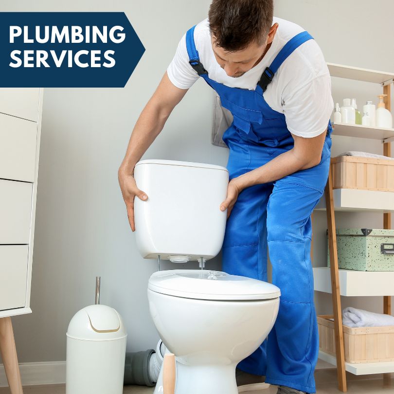 Plumbing Company in Vernon, IL